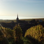 Le Grand-cru Winzenberg à Blienschwiller