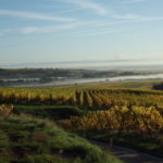 Vue sur le Winzenberg de Blienschwiller