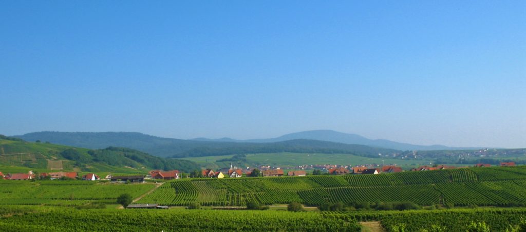 Vue sur le Hagendorn Blienschwiller