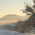 Le Haut Koenigsbourg au loin